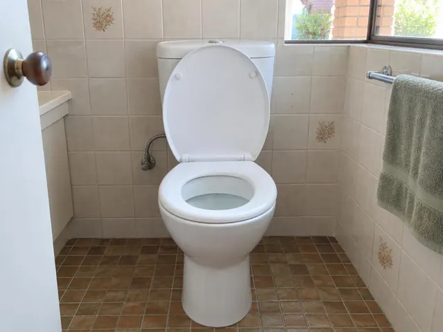 Clean white toilet in a tiled bathroom with a towel rail and window in Castle Hill